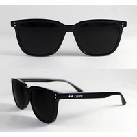 MODELO TW023 CAL-99 C-01 POL     